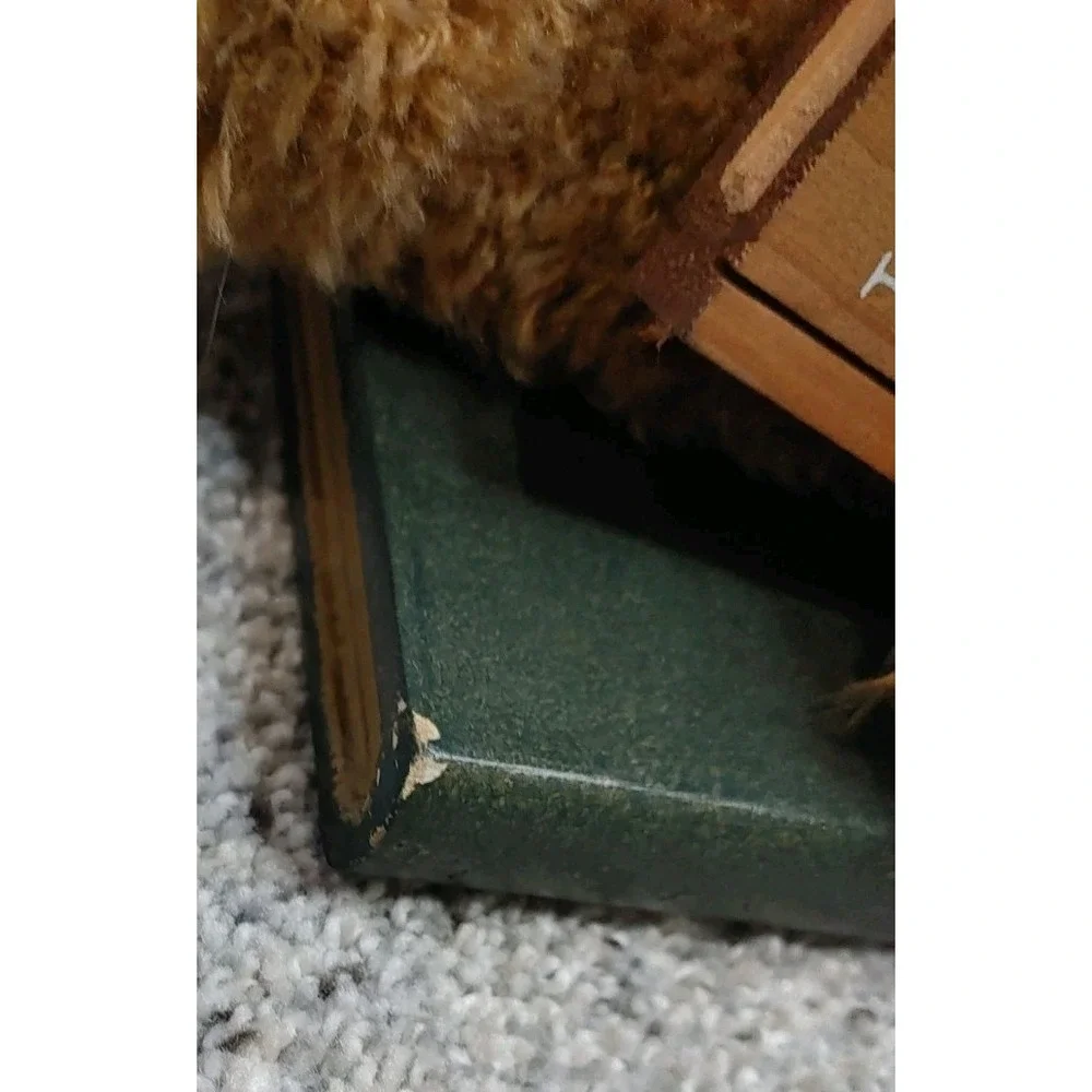 Cottage Teddy Bear Book Ends Teddie's Stories Plush & Ceramic Books are Fun